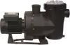 Victoria Plus Silent (Sós víz max. 4g/liter) 11m3/h