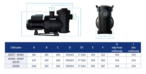 Victoria Plus Silent (Sós víz max. 4g/liter) 16m3/h