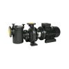 IE3 CF-4 300 230/400 V