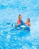 Intex Kardszárnyú delfin
